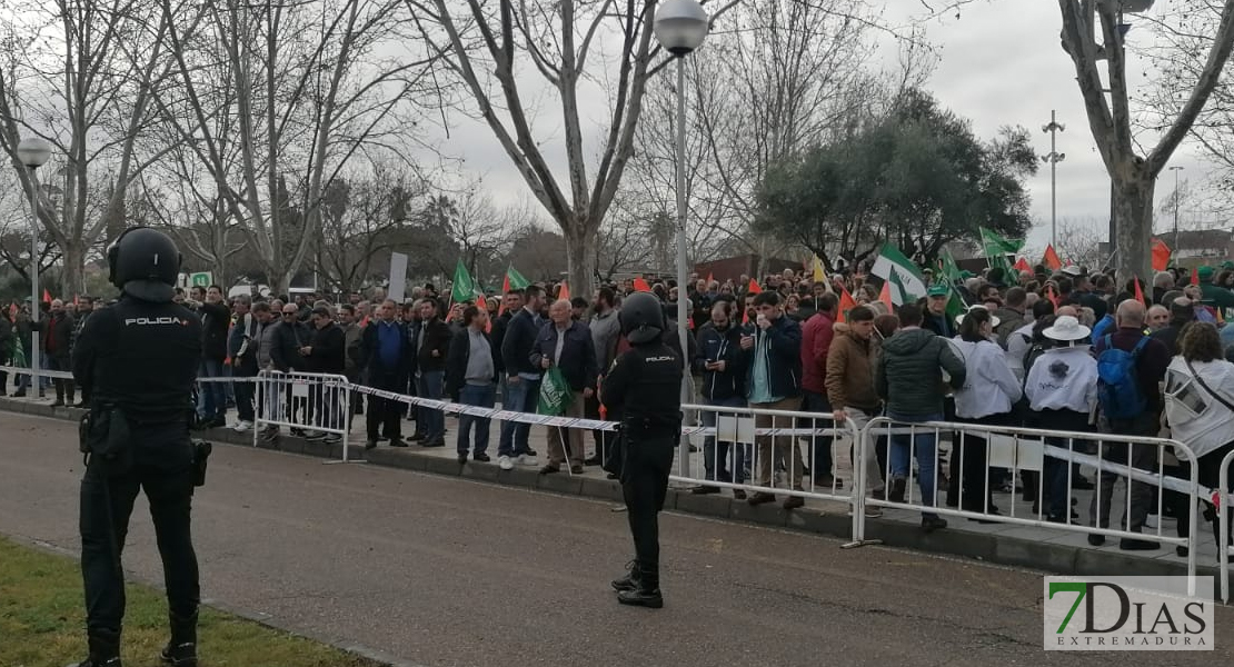 Manifestación &#39;Por un campo con futuro&#39;