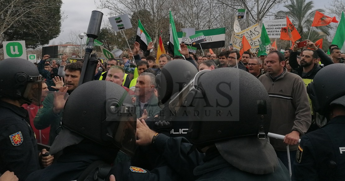 19 heridos leves en la manifestación de Don Benito, 16 de ellos policías