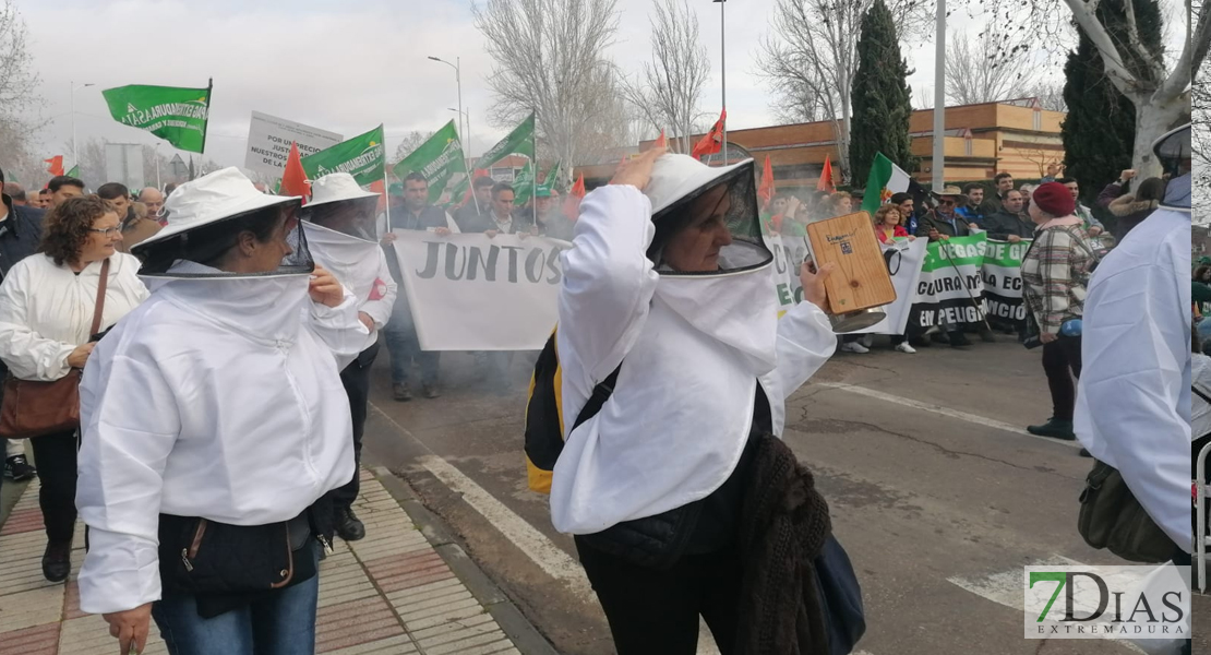 Manifestación &#39;Por un campo con futuro&#39;