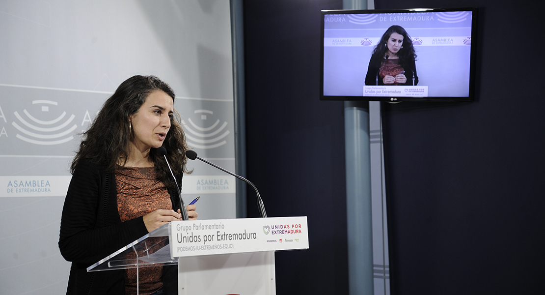 Irene de Miguel: “Esperábamos más afinidad por parte del PSOE”