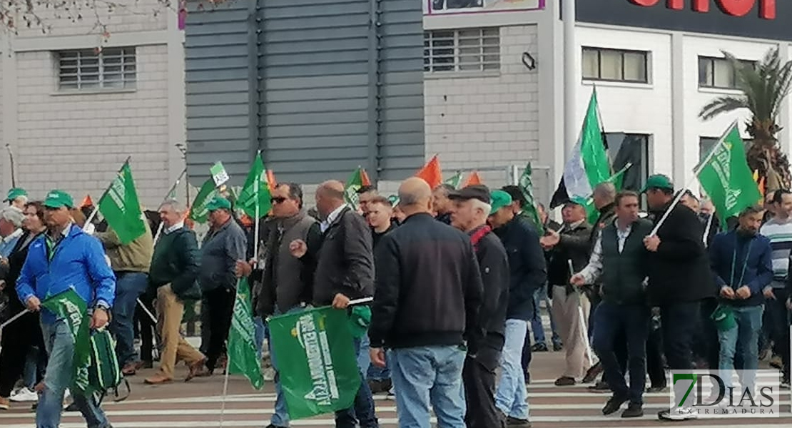 Manifestación &#39;Por un campo con futuro&#39;