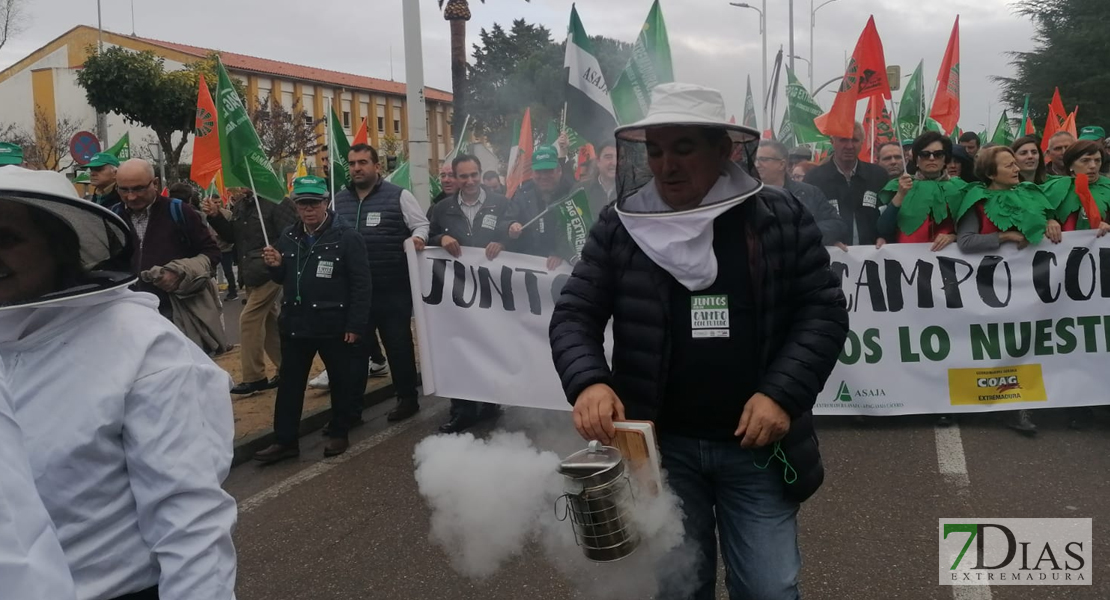 Manifestación &#39;Por un campo con futuro&#39;