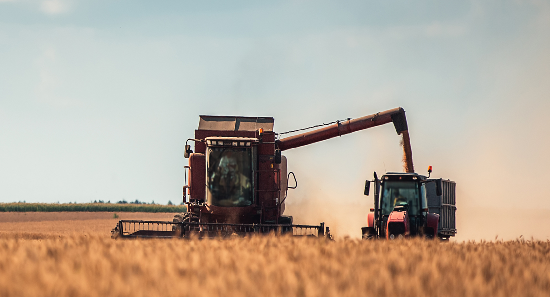 Luz verde a las ayudas para la creación de Grupos Operativos en el sector agrícola extremeño