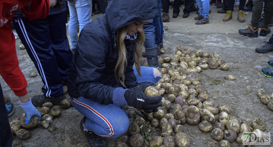 GALERÍA I:  Piornal celebra el Jarramplas, su famosa fiesta de Interés Turístico Nacional