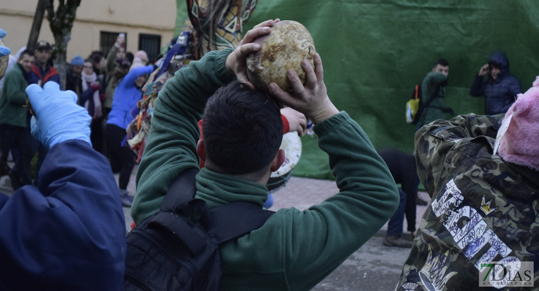 GALERÍA II: Piornal celebra el Jarramplas, su famosa fiesta de Interés Turístico Nacional