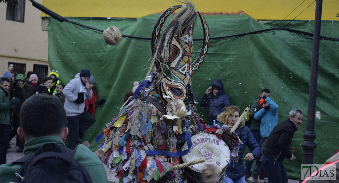 GALERÍA II: Piornal celebra el Jarramplas, su famosa fiesta de Interés Turístico Nacional