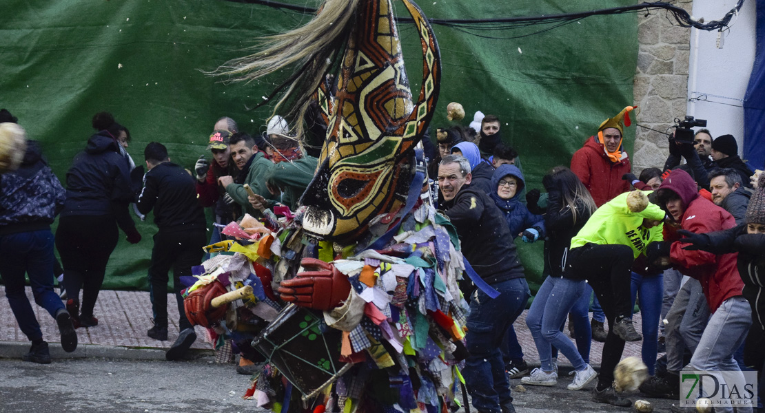 GALERÍA I:  Piornal celebra el Jarramplas, su famosa fiesta de Interés Turístico Nacional