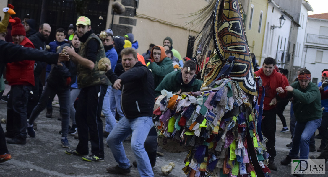 GALERÍA I:  Piornal celebra el Jarramplas, su famosa fiesta de Interés Turístico Nacional