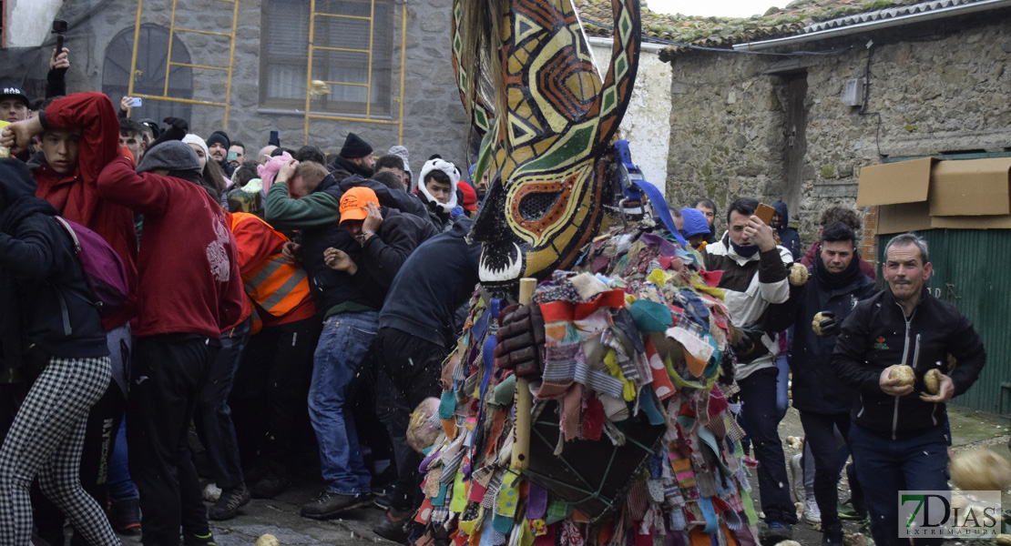 GALERÍA II: Piornal celebra el Jarramplas, su famosa fiesta de Interés Turístico Nacional