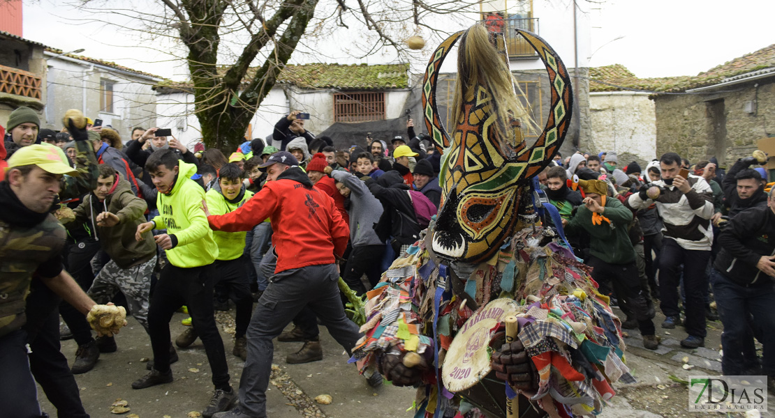 GALERÍA II: Piornal celebra el Jarramplas, su famosa fiesta de Interés Turístico Nacional