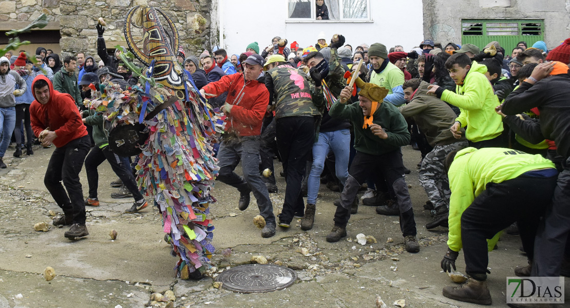 GALERÍA II: Piornal celebra el Jarramplas, su famosa fiesta de Interés Turístico Nacional