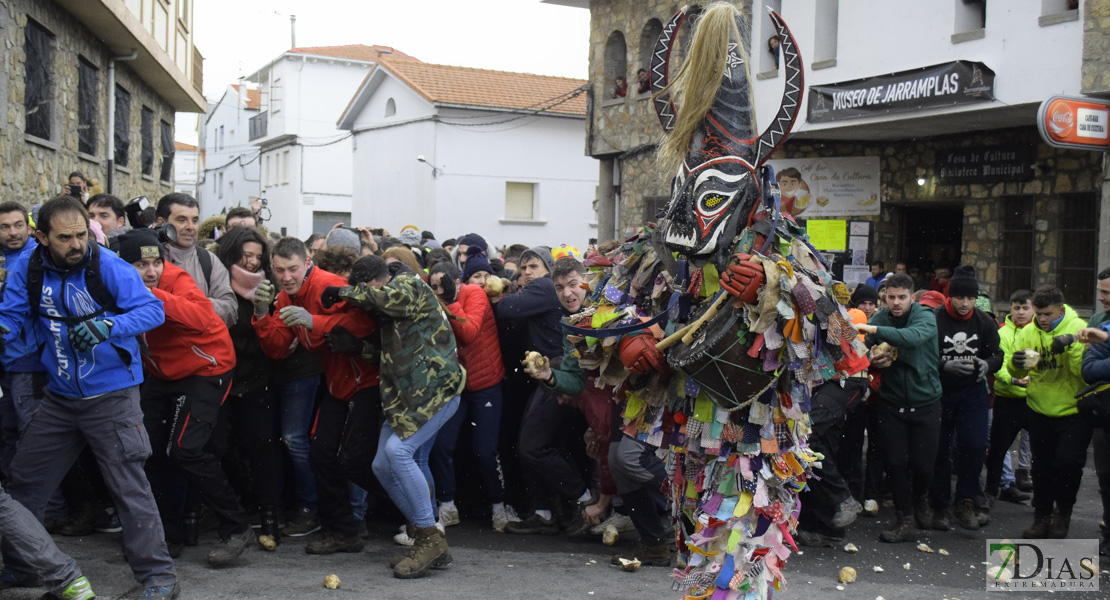 GALERÍA II: Piornal celebra el Jarramplas, su famosa fiesta de Interés Turístico Nacional