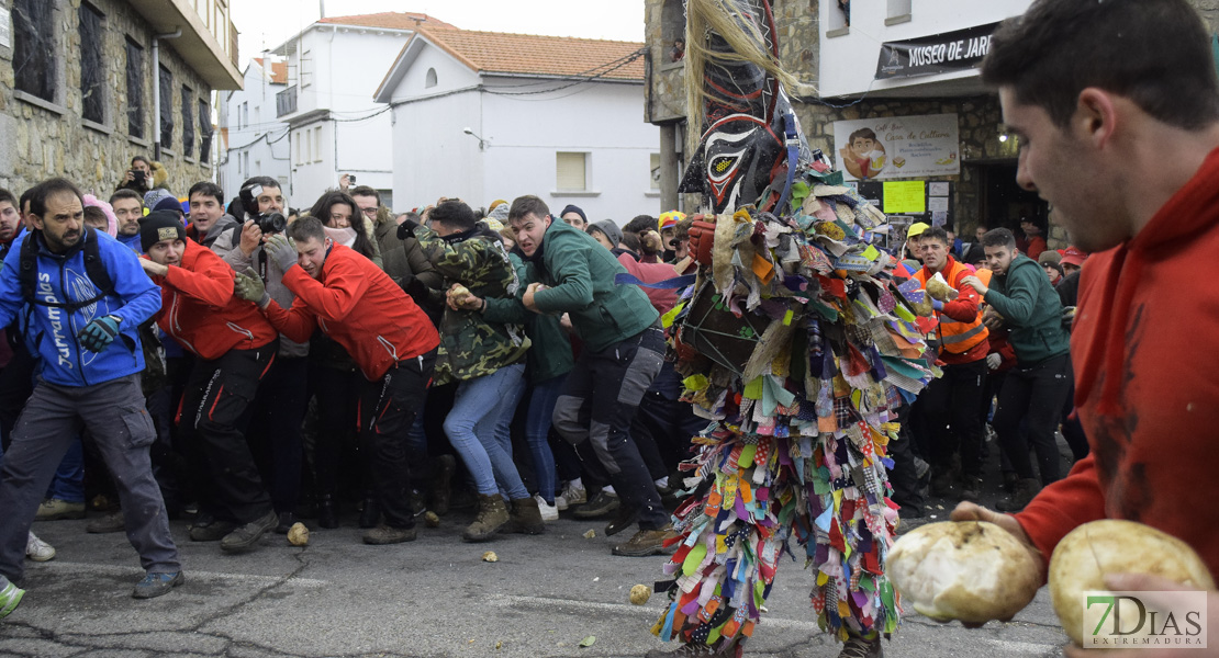 GALERÍA II: Piornal celebra el Jarramplas, su famosa fiesta de Interés Turístico Nacional