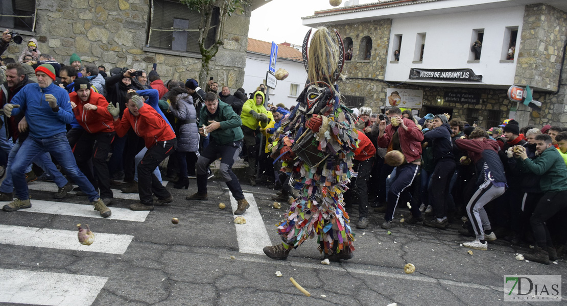 GALERÍA II: Piornal celebra el Jarramplas, su famosa fiesta de Interés Turístico Nacional