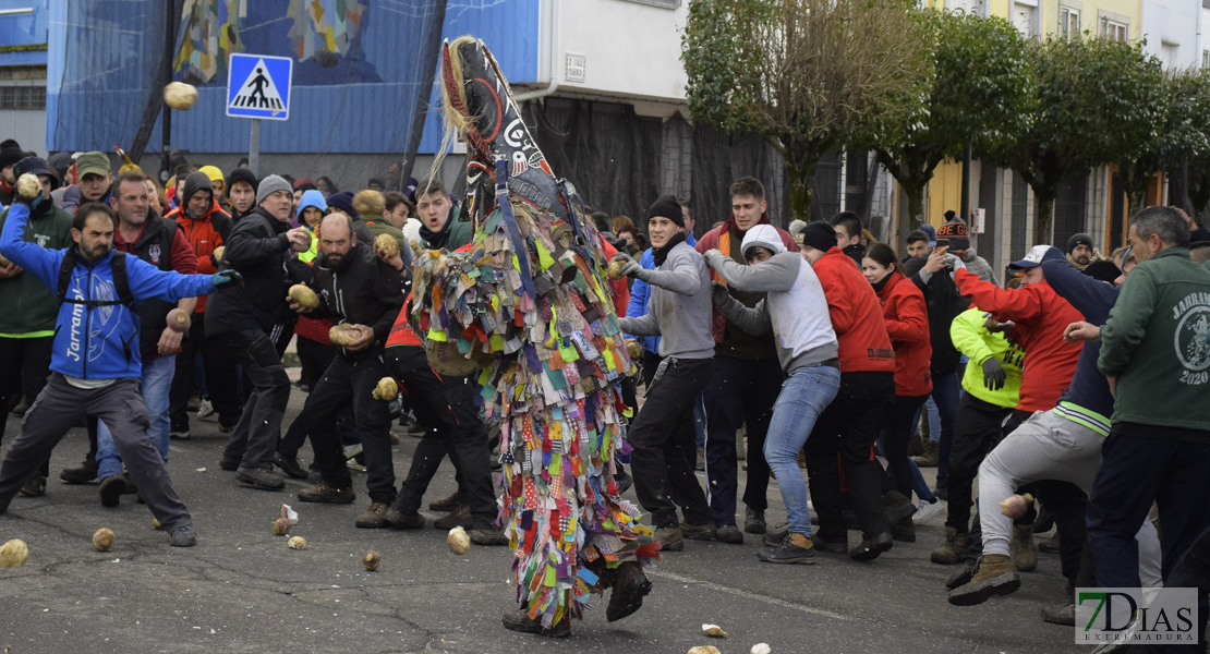 GALERÍA II: Piornal celebra el Jarramplas, su famosa fiesta de Interés Turístico Nacional