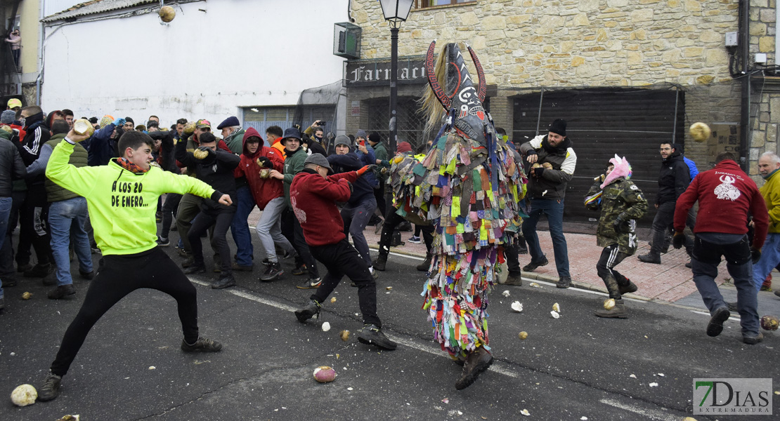 GALERÍA I:  Piornal celebra el Jarramplas, su famosa fiesta de Interés Turístico Nacional