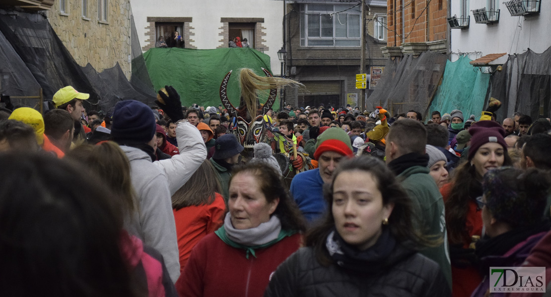 GALERÍA I:  Piornal celebra el Jarramplas, su famosa fiesta de Interés Turístico Nacional