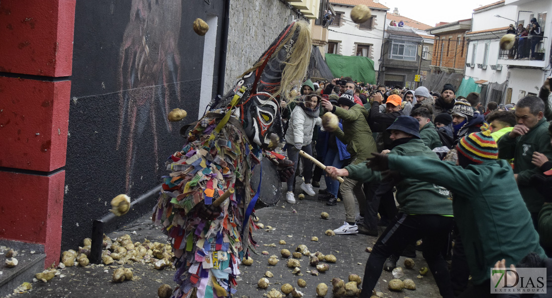 GALERÍA II: Piornal celebra el Jarramplas, su famosa fiesta de Interés Turístico Nacional