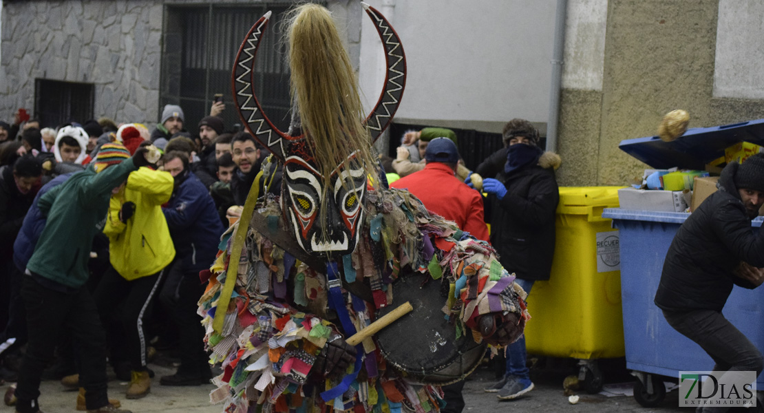 GALERÍA I:  Piornal celebra el Jarramplas, su famosa fiesta de Interés Turístico Nacional