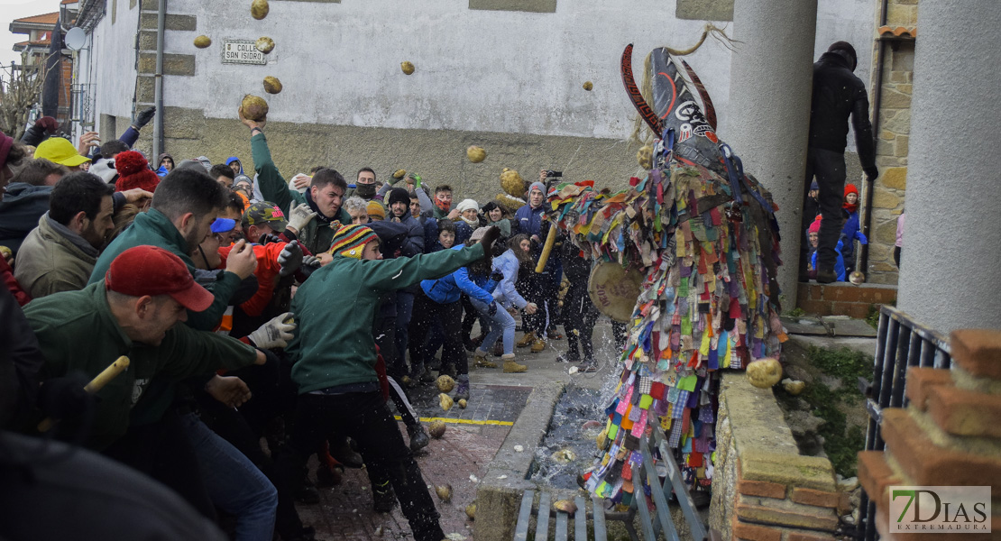 GALERÍA I:  Piornal celebra el Jarramplas, su famosa fiesta de Interés Turístico Nacional