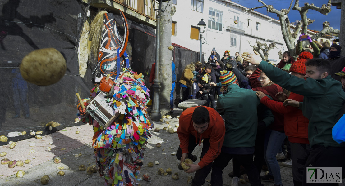 GALERÍA II: Piornal celebra el Jarramplas, su famosa fiesta de Interés Turístico Nacional