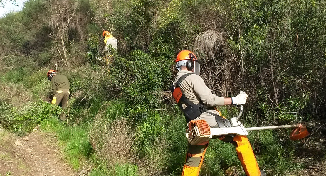 Cerca de 50 poblaciones mejorarán las infraestructuras y productividad de fincas municipales