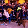 La Cabalgata de Los Reyes Magos deja ilusión y felicidades en Badajoz