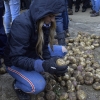 GALERÍA I:  Piornal celebra el Jarramplas, su famosa fiesta de Interés Turístico Nacional