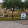 Sin tratamiento fitosanitario para evitar plagas de garrapatas y arañas en los parques del río