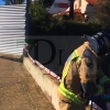 Los Bomberos actúan ante numerosos destrozos causados por el viento en Badajoz