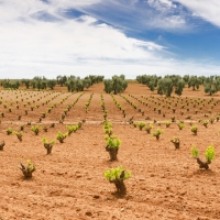 La nueva campaña del PAC 2020 apuesta por la monitorización del sector agrario