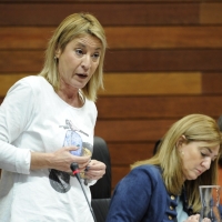PP exige que Vergeles comparezca urgentemente ante las graves incidencias en las ambulancias