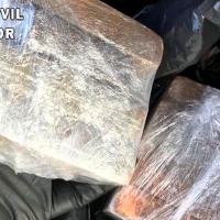 Interceptan un cargamento de hachís en el maletero de un vehículo en la provincia de Cáceres