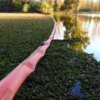Vélez se compromete a limpiar “la selva amazónica” existente entre el Puente Real y el Azud