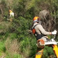 Cerca de 50 poblaciones mejorarán las infraestructuras y productividad de fincas municipales