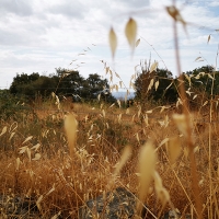 Extremadura Unida apoya la manifestación del campo