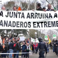 5.000 agricultores: &quot;El Gobierno y la Junta tienen completamente abandonado el campo extremeño&quot;