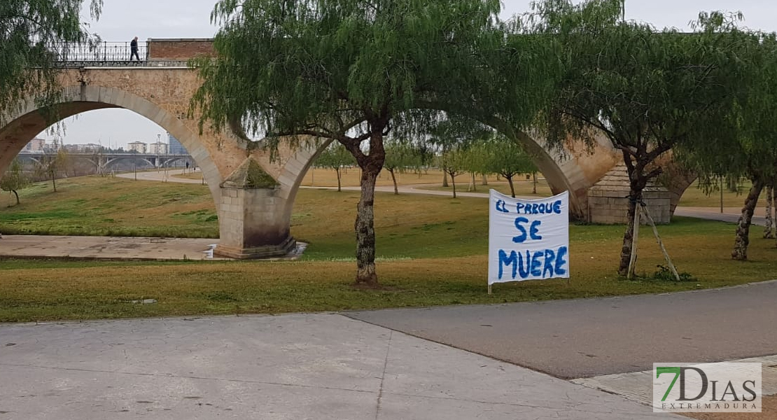 Sin tratamiento fitosanitario para evitar plagas de garrapatas y arañas en los parques del río