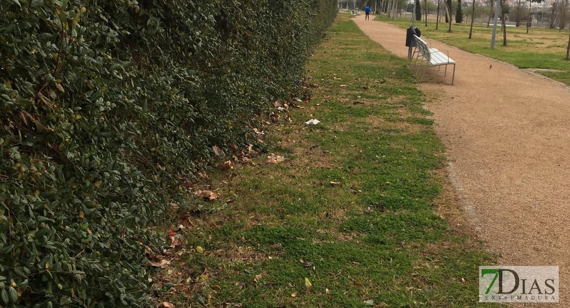 Sin tratamiento fitosanitario para evitar plagas de garrapatas y arañas en los parques del río