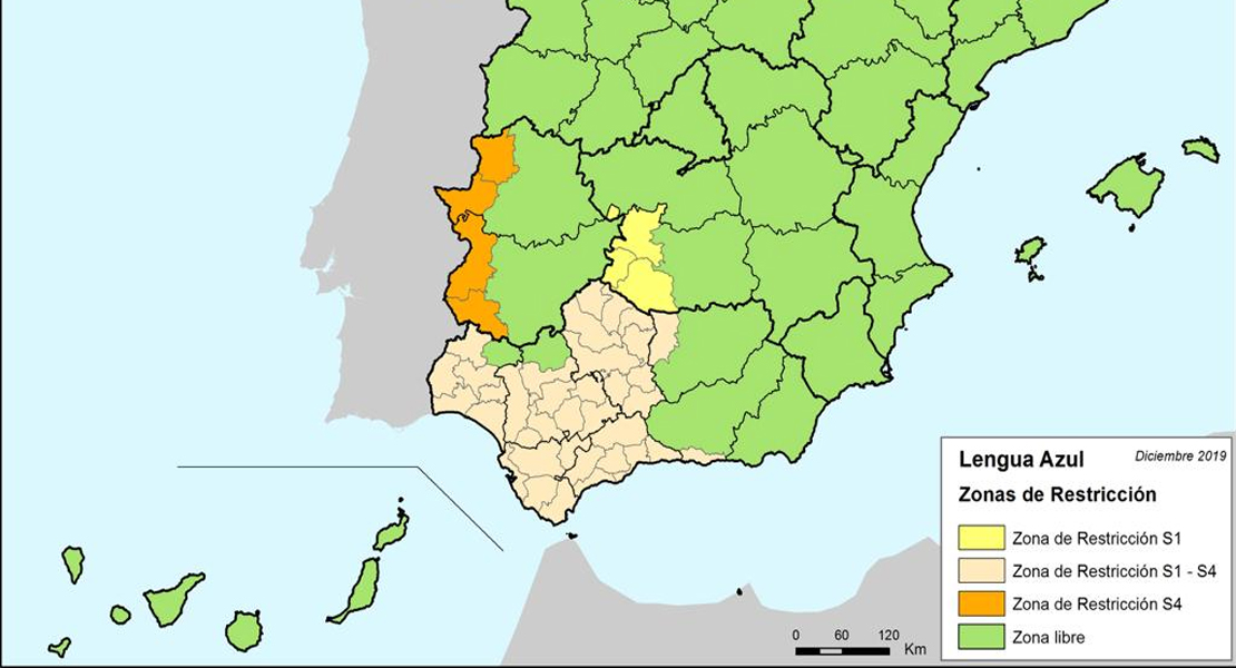 Extremadura queda libre del serotipo uno de lengua azul