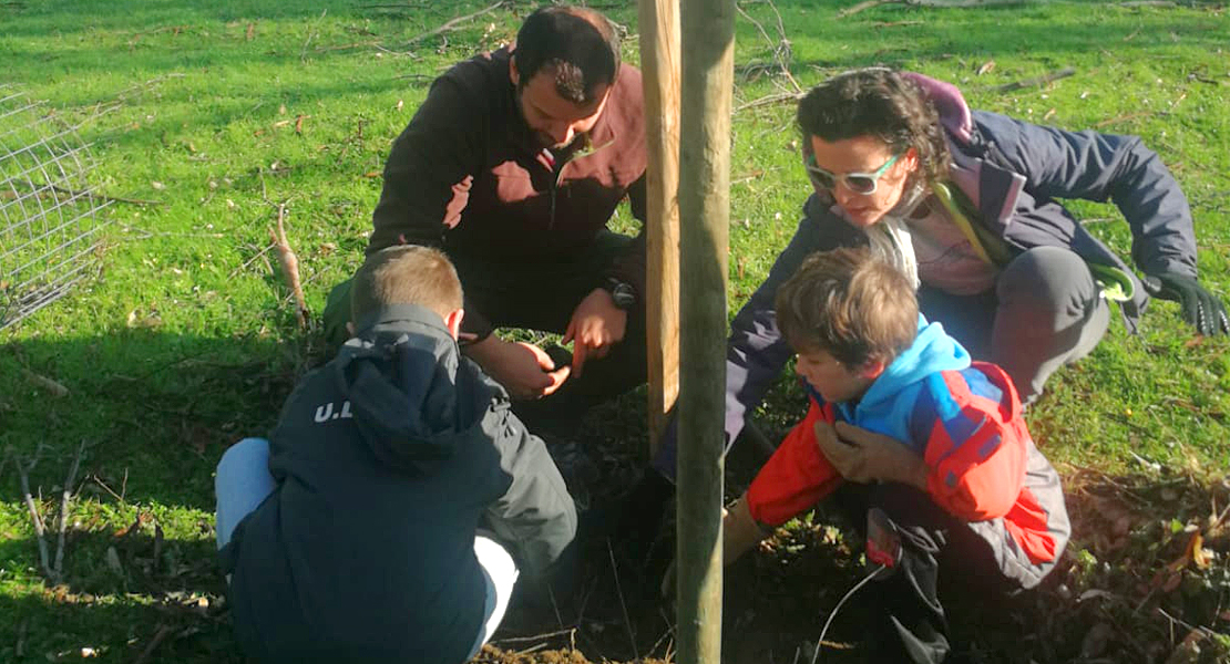 Más de 100 voluntarios plantan 400 árboles en Ambroz y Tierras de Granadilla