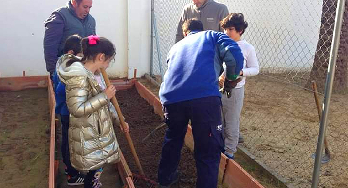 Un huerto donde se planta inclusión