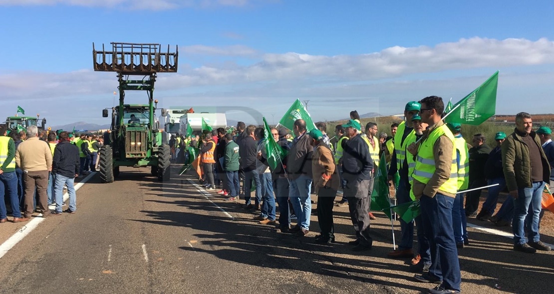 La Junta agradece a organizadores, manifestantes y ciudadanos la normalidad de las protestas