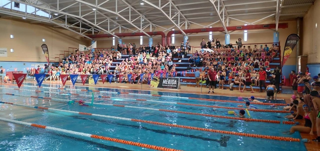 Yincana escolar en la piscina climatizada de La Argentina