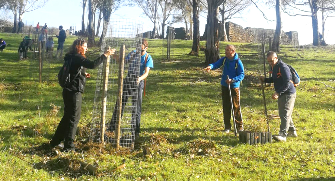 Más de 100 voluntarios plantan 400 árboles en Ambroz y Tierras de Granadilla