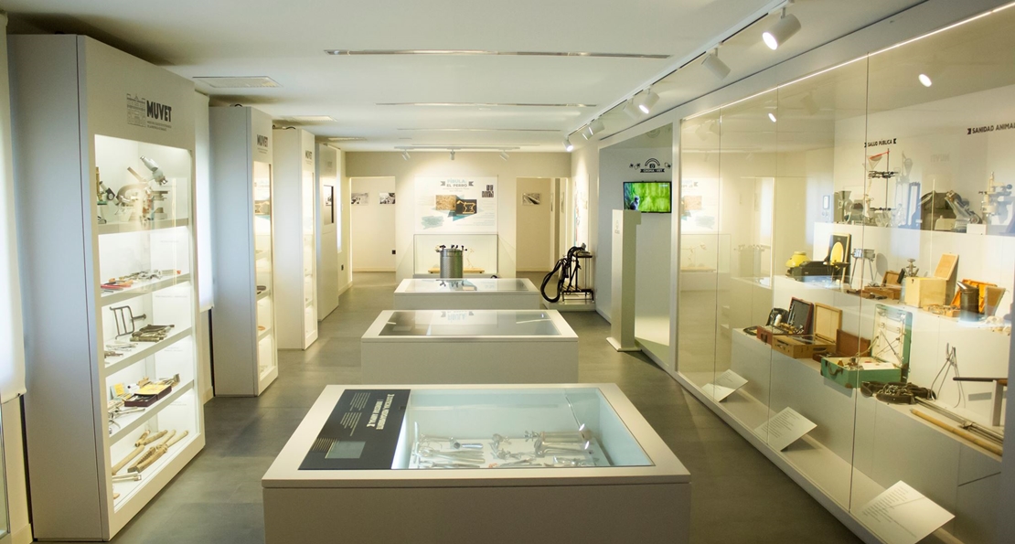 Visita Guiada el próximo sábado al Museo de Veterinario en Badajoz