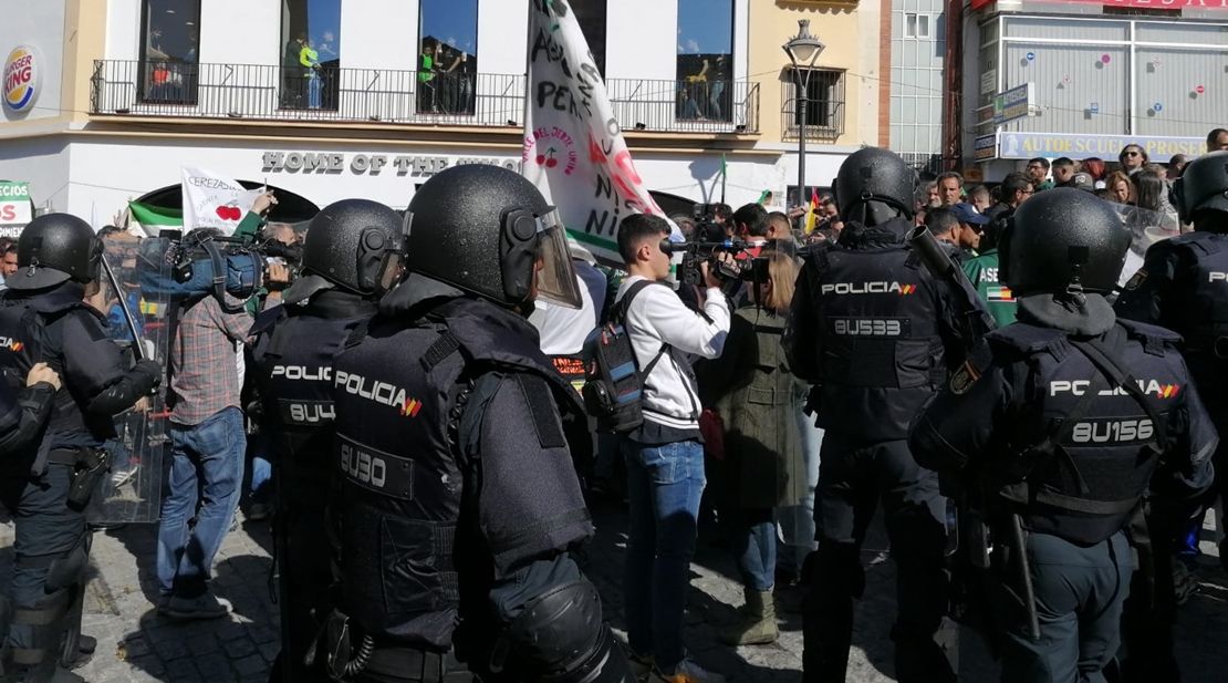 Batalla campal en Mérida