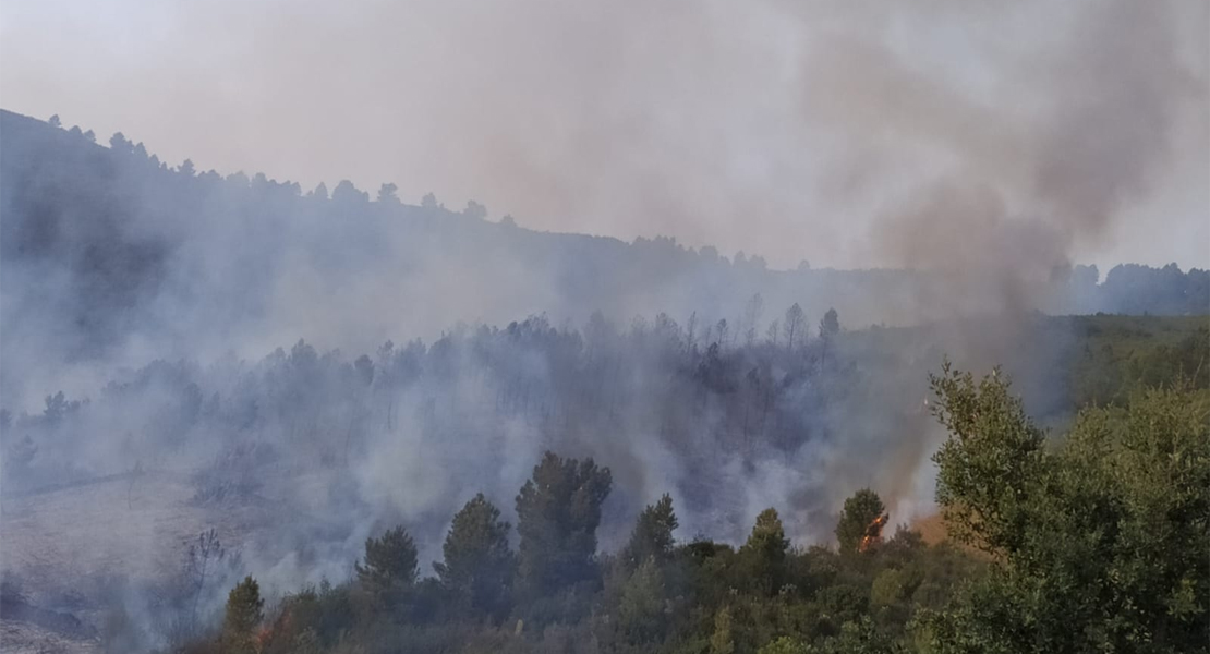 Arduo trabajo de los bomberos para extinguir un incendio en la provincia de Cáceres
