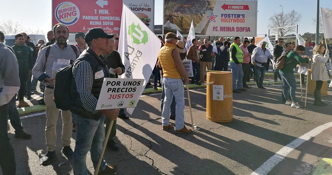 Los agricultores comienzan a llegar a Mérida