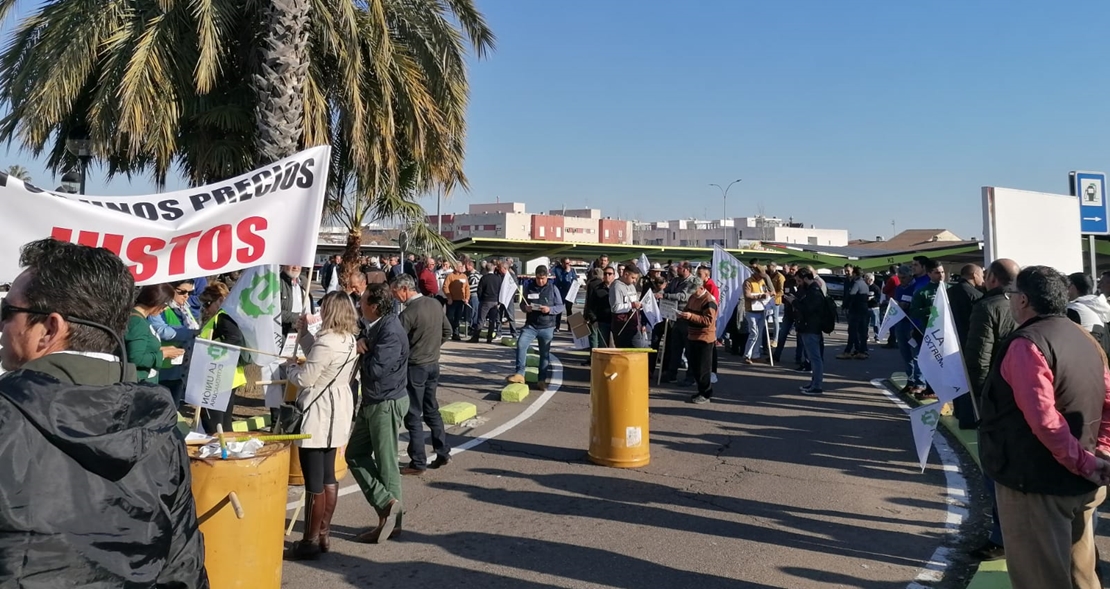 Los agricultores comienzan a llegar a Mérida